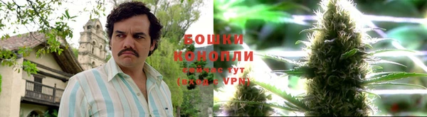 круглые Бронницы