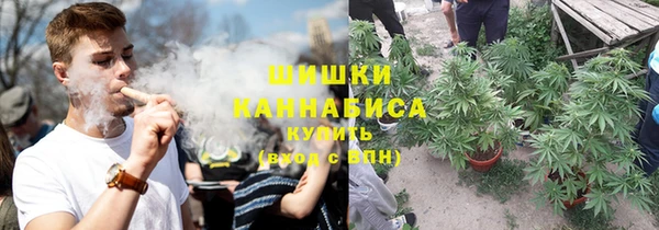 круглые Бронницы
