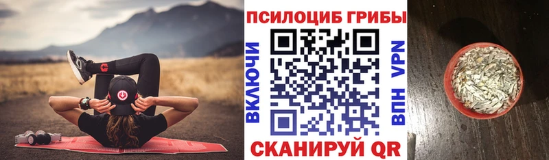 Галлюциногенные грибы GOLDEN TEACHER  Великий Устюг 