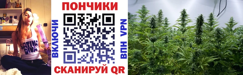 Канабис LSD WEED  блэк спрут как войти  shop телеграм  Великий Устюг 